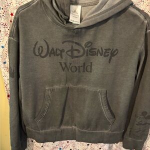 Disney Gray Walt Disney World Hoodie